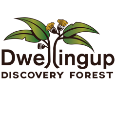 Dwellingup Discovery Forest Defenders