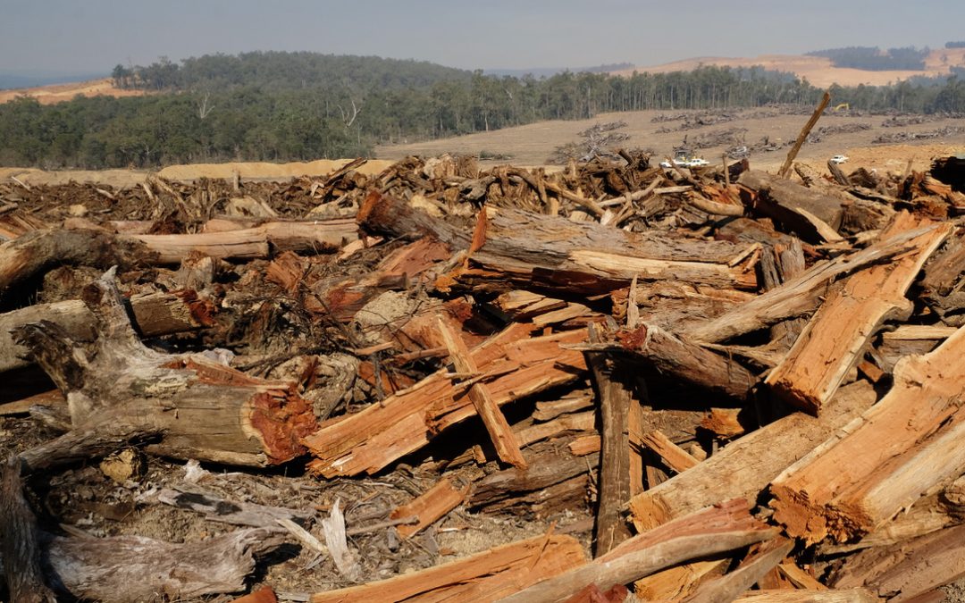 US mining giant Alcoa’s greenwashing advertising campaign breaches Ad Standards Australia’s Environmental Code