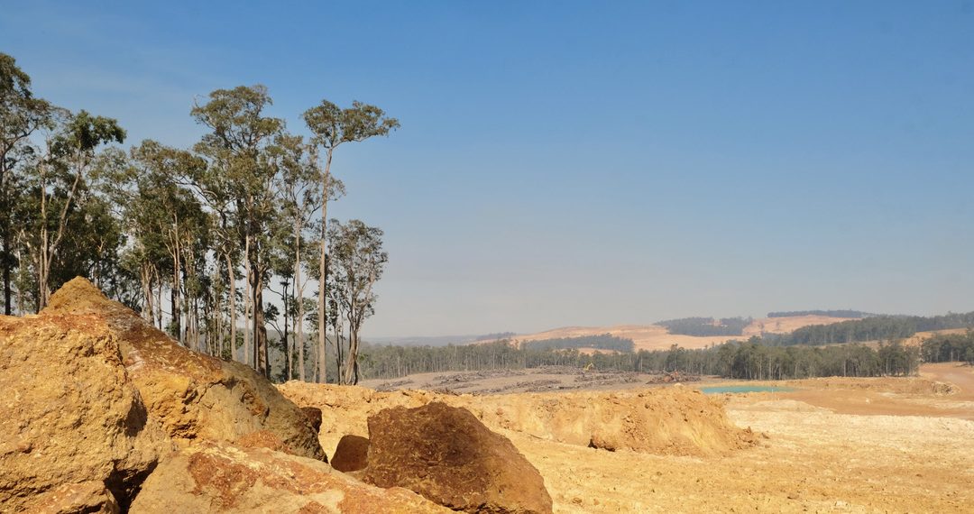 Photo of Jarrah forests cleared for bauxite mining