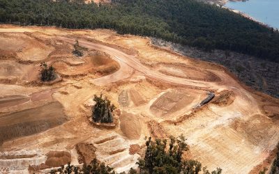 Outrage over Alcoa’s ‘greenwashing’ of its jarrah forest strip mining through Kings Park festival sponsorship