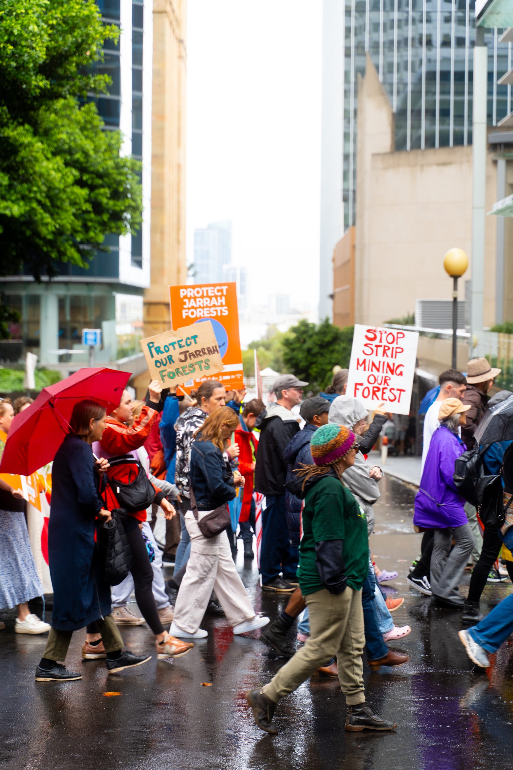 Big Jarrah Rallyers making their way to Parliament House