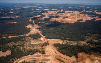 Outrage over Alcoa’s ‘greenwashing’ of its jarrah forest strip mining through Kings Park festival sponsorship