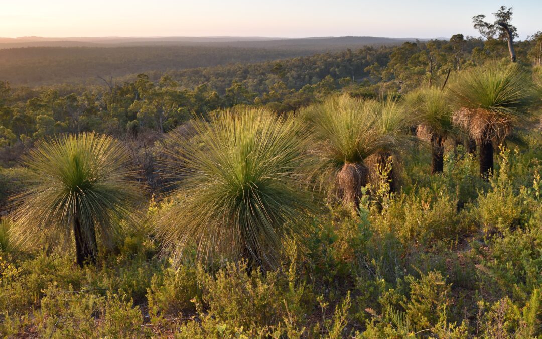 Conservation groups slam Alcoa’s “reckless” bauxite mine expansion plans
