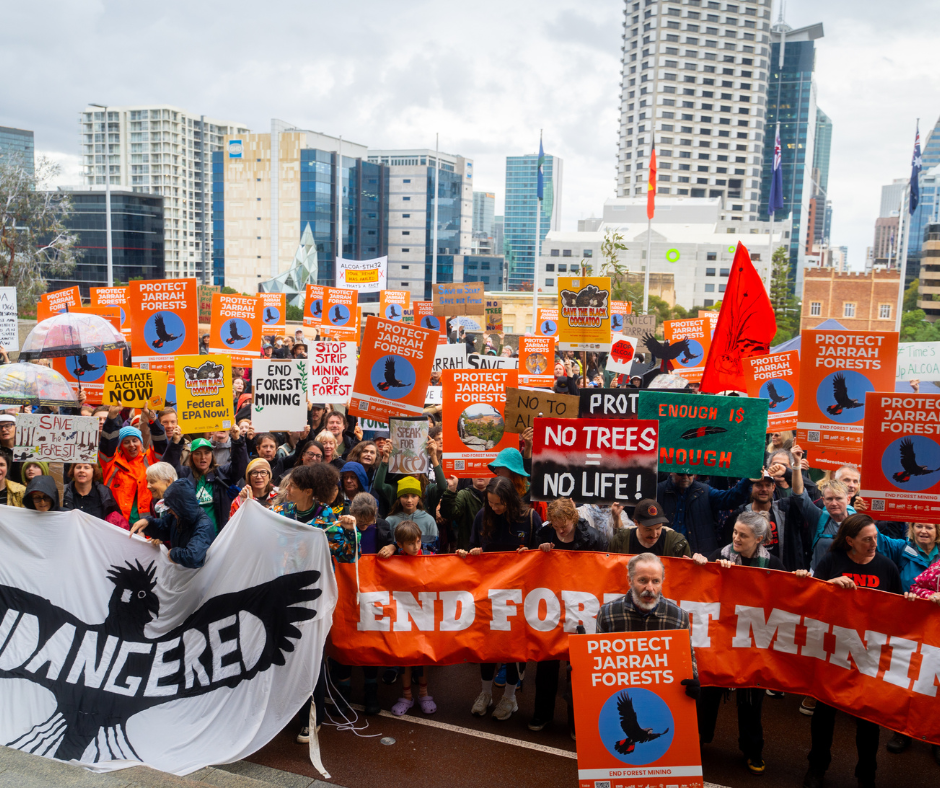 Forest mining objectors gather in front of Parliament house holding signs and banners. 
