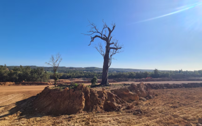 Shocking revelations show Alcoa could be in breach of mining Exemption Order requirements