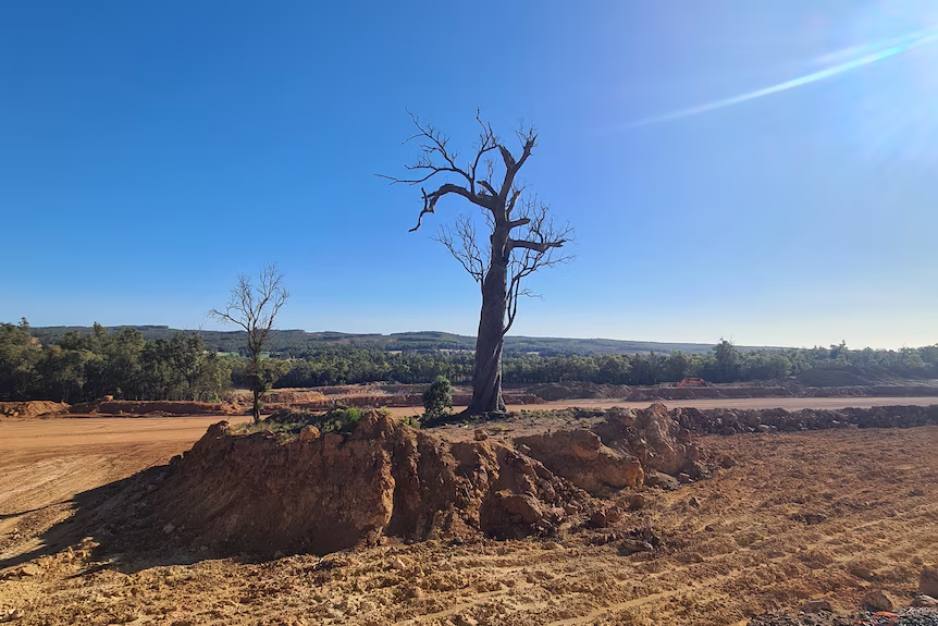 Shocking revelations show Alcoa could be in breach of mining Exemption Order requirements