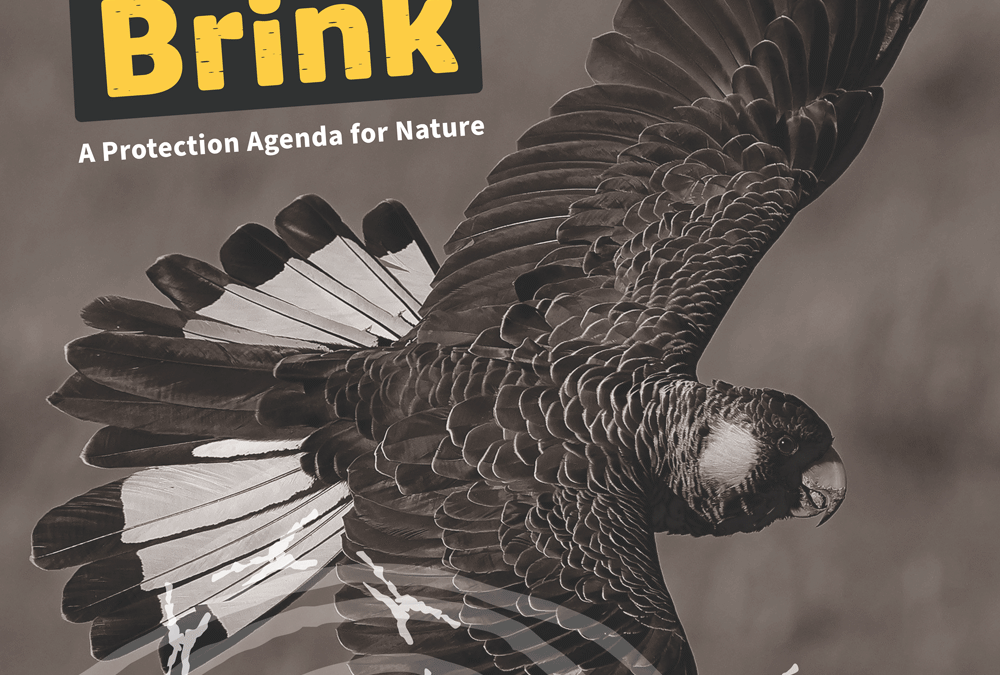 The cover of Back from the Brink, a black and white image of a cockatoo with overlaid yellow text reading Back from the Brink, and white text reading A protection agenda for nature. The CCWA logo is in the bottom right corner