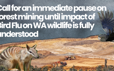 Call for an immediate pause on forest mining until impact of Bird Flu on WA wildlife is fully understood